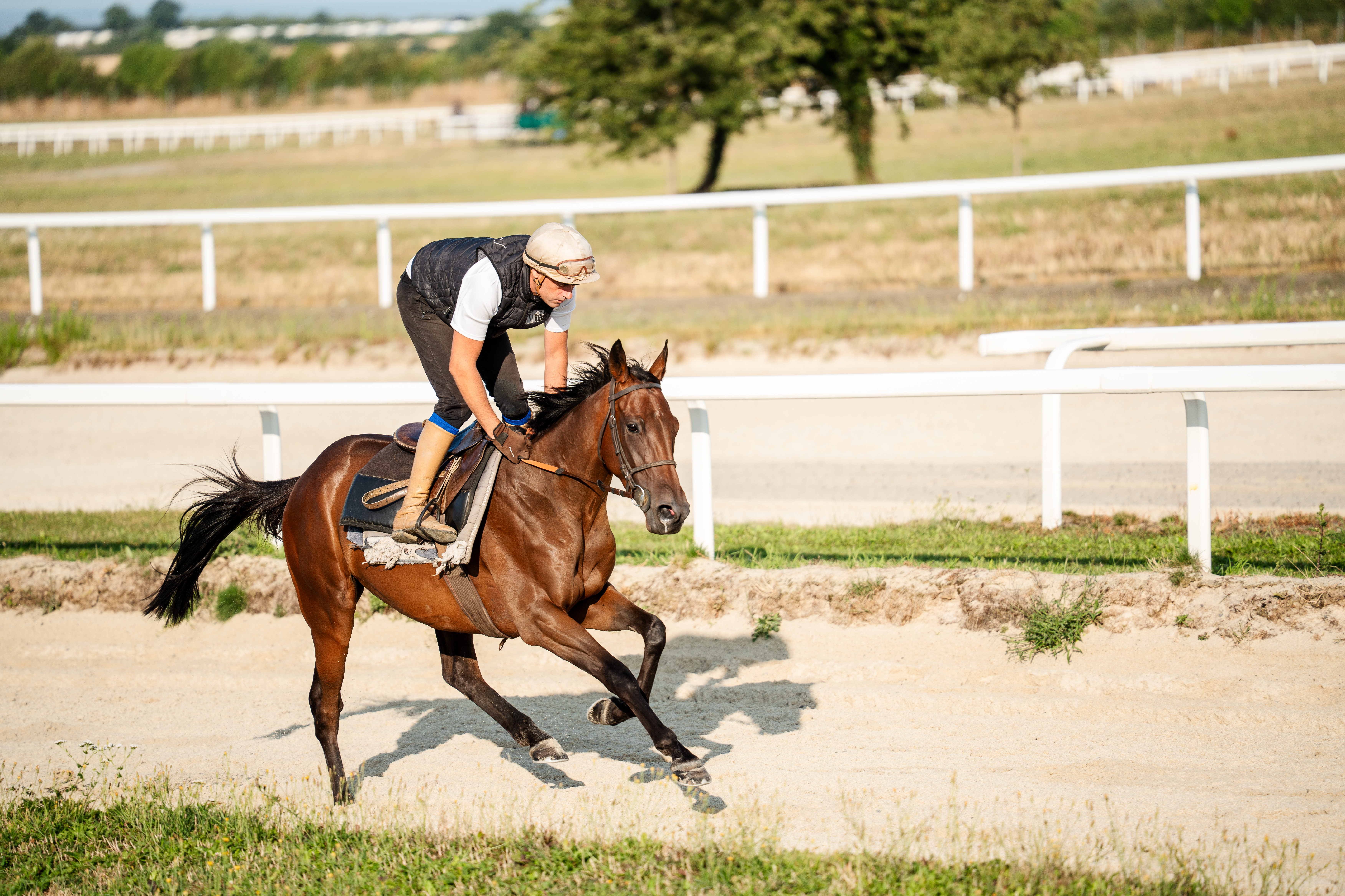Centre d'entrainement - Galop Baie