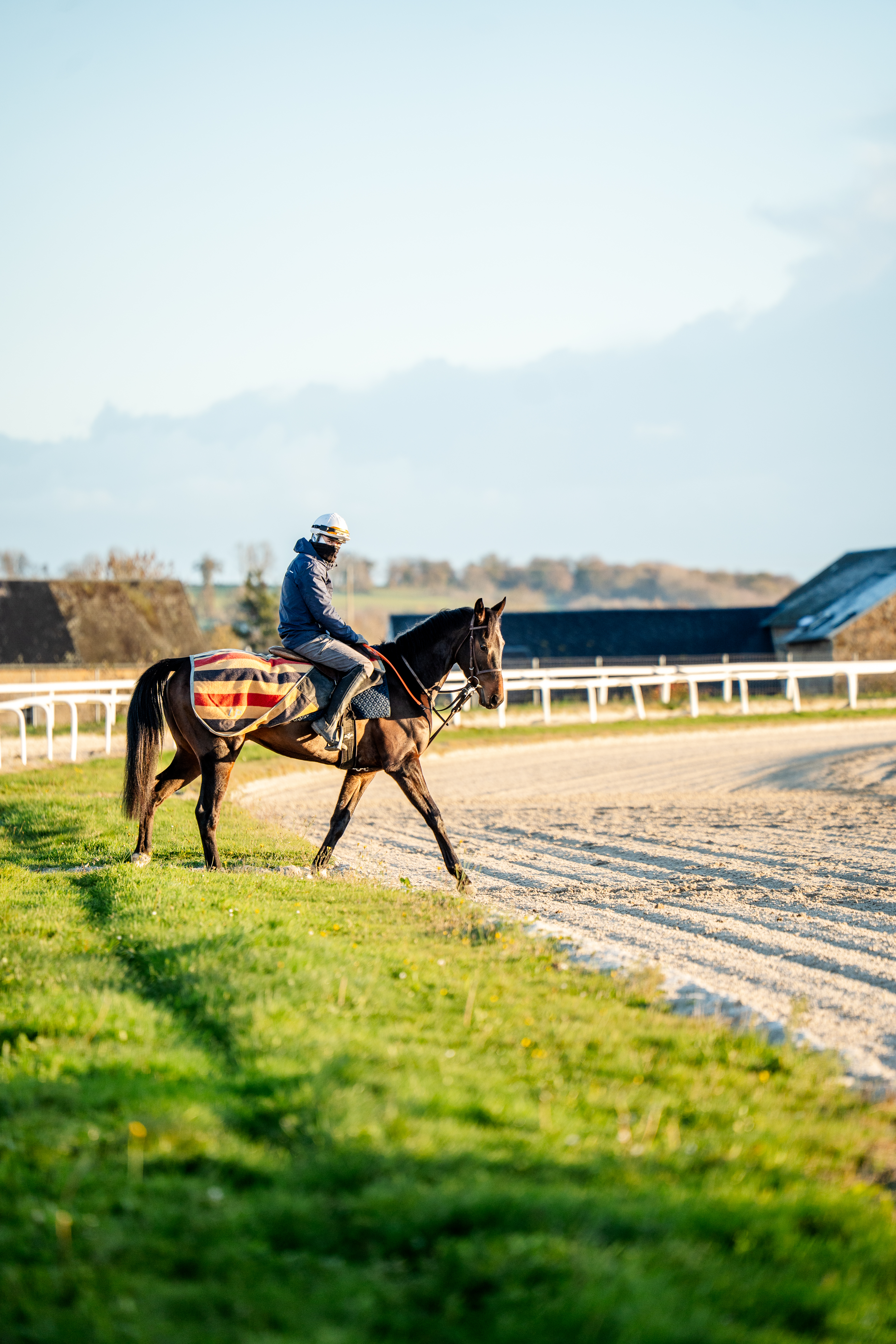 Centre d'entrainement - Galop Baie