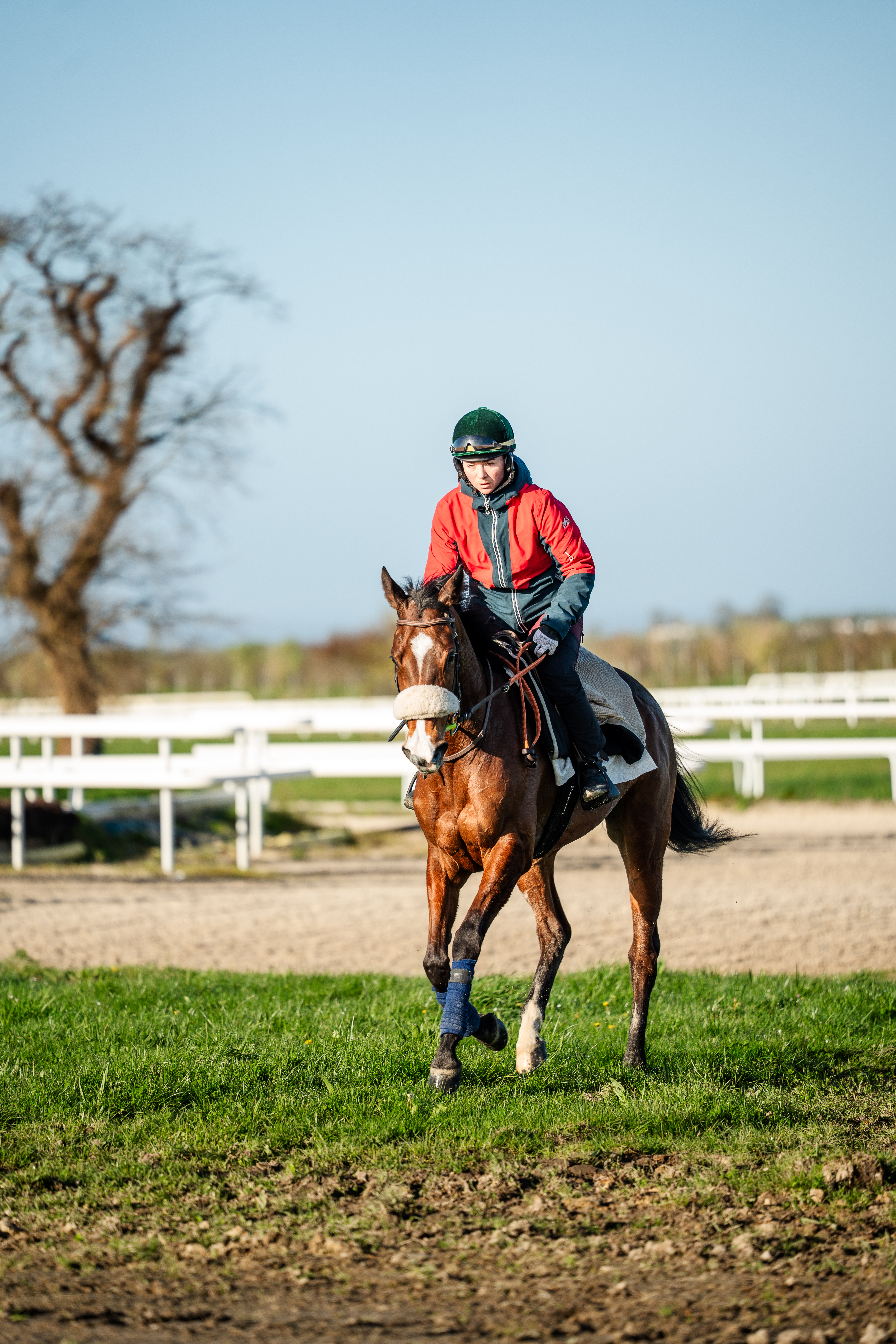 Centre d'entrainement - Galop Baie